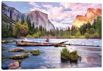 Yosemite National Park Canvas Art Print - Yosemite National Park Art