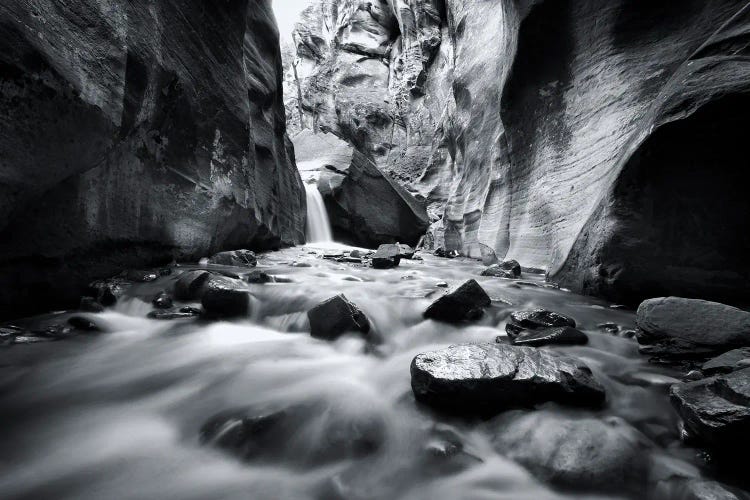 Zion National Park B&W