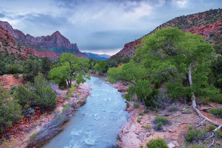 Zion National Park