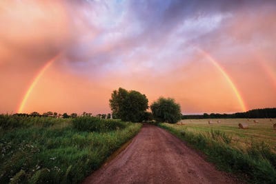 Rainbow by Mateusz Piesiak canvas print