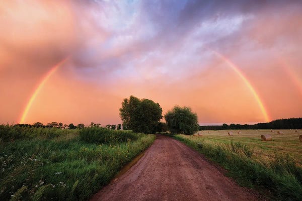Mateusz Piesiak: Rainbow by Mateusz Piesiak