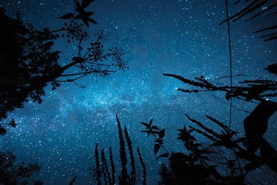 Night Magic by Mateusz Piesiak canvas print