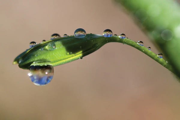 Water Close-Ups: Droplets II by Mateusz Piesiak