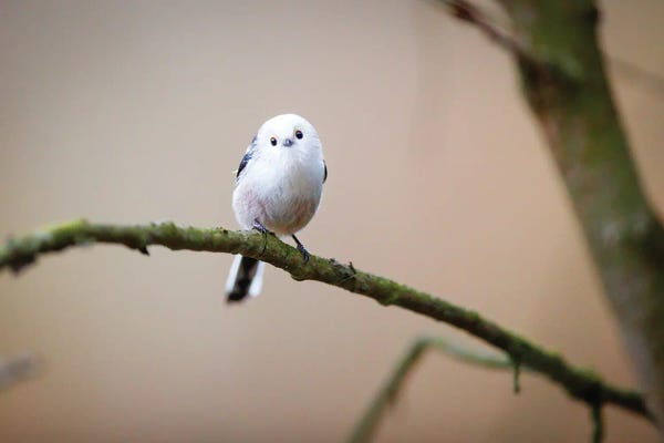 Mateusz Piesiak: Are You Angry At Me? by Mateusz Piesiak