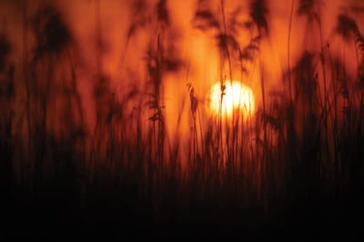 Sunset II by Mateusz Piesiak framed canvas print