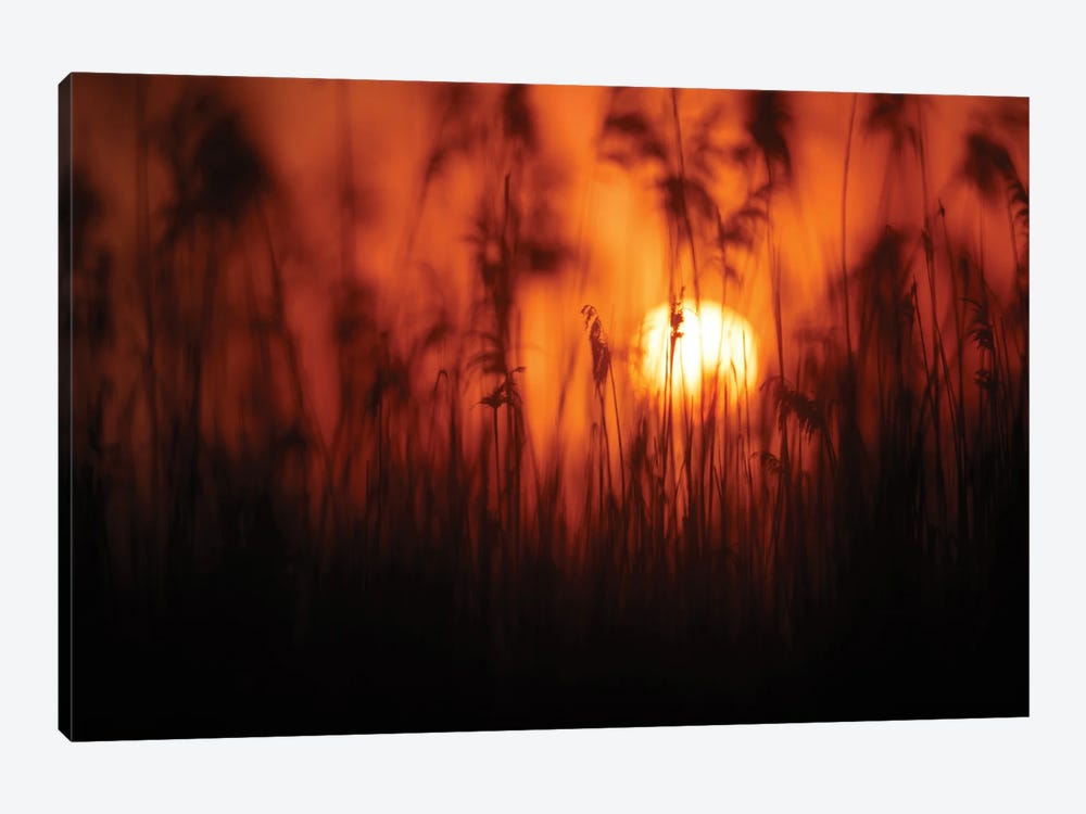 Sunset II by Mateusz Piesiak 1-piece Canvas Art