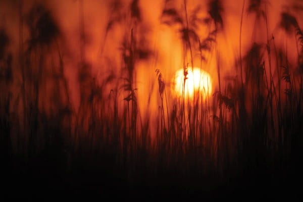 Mateusz Piesiak: Sunset II by Mateusz Piesiak