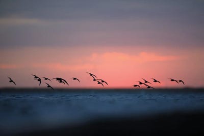 Before The Sunrise by Mateusz Piesiak canvas print