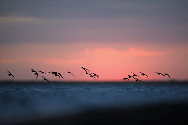 Mateusz Piesiak: Before The Sunrise by Mateusz Piesiak