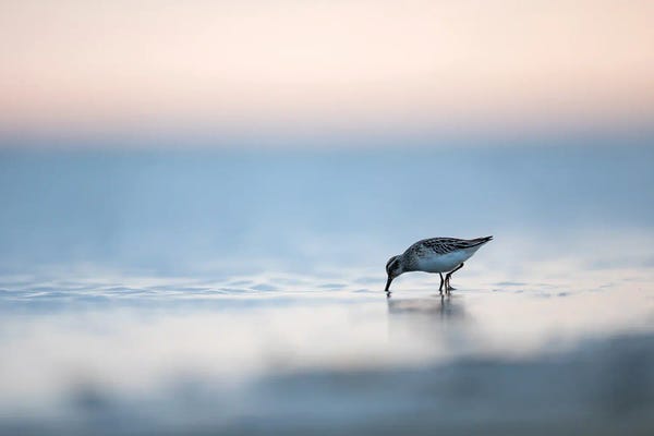 Mateusz Piesiak: Pastel World by Mateusz Piesiak