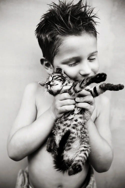 Boy and his cat