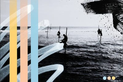 Fish And Sticks (Collaboration With Dominic Berchtold) by Martin Elsner canvas print