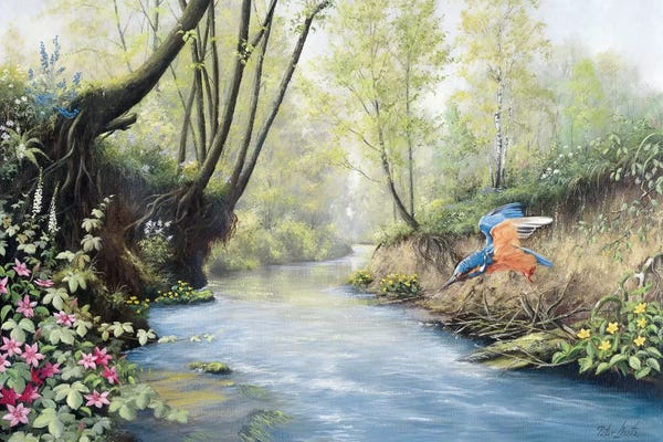 Peter Motz: Kingfisher by Peter Motz