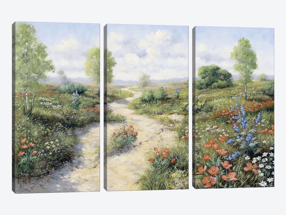Road To… by Peter Motz 3-piece Canvas Art