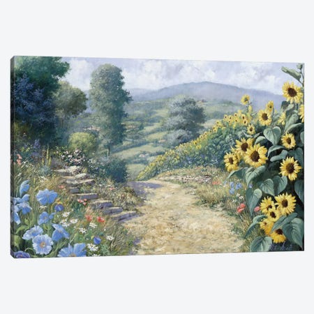 Along The Sunflowers Canvas Print #MTZ3} by Peter Motz Canvas Art Print