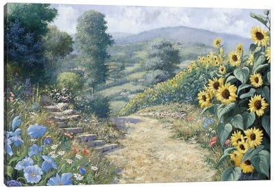 Along The Sunflowers Canvas Art Print - Peter Motz