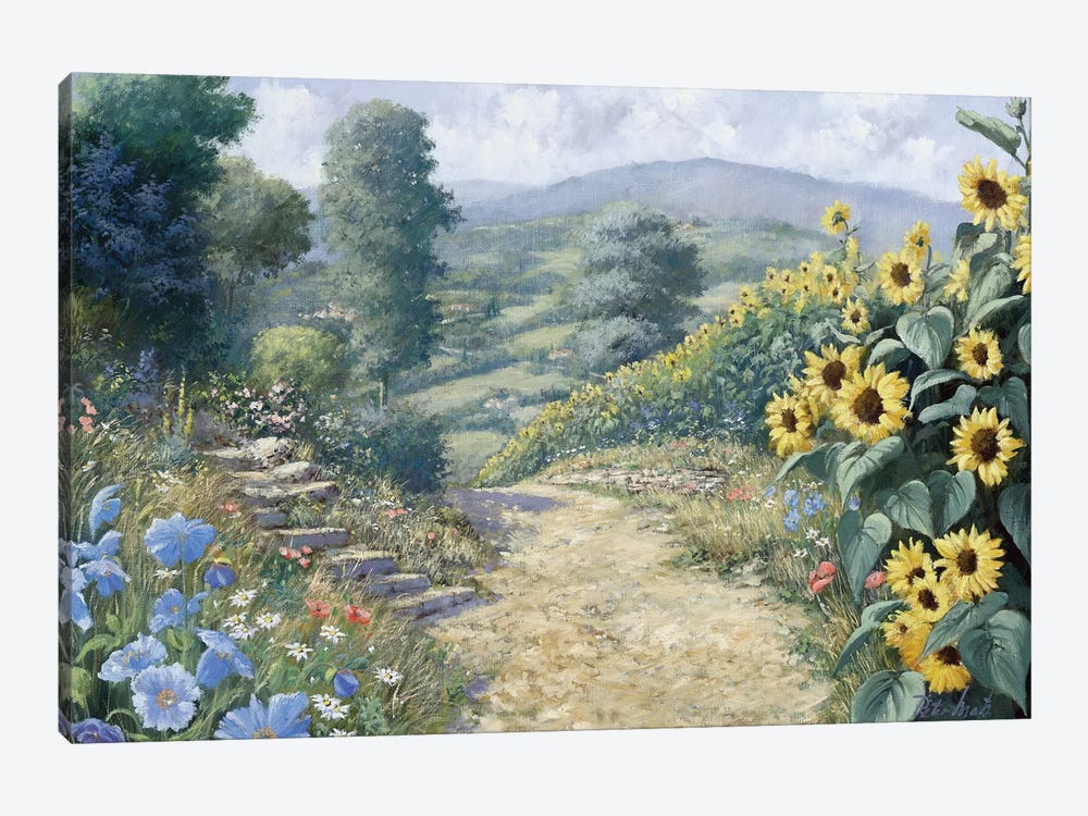 Along The Sunflowers by Peter Motz 1-piece Canvas Print