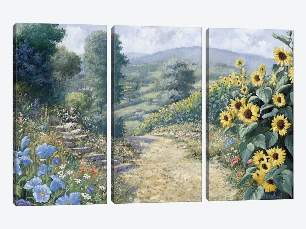 Along The Sunflowers by Peter Motz 3-piece Art Print