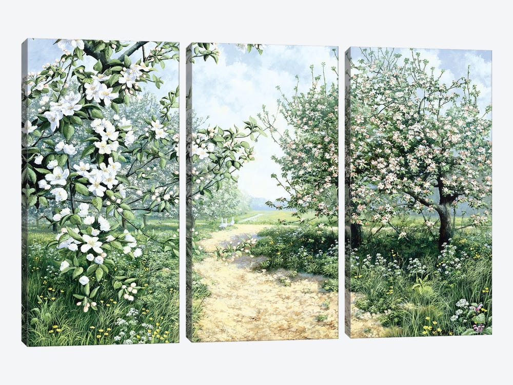 Spring by Peter Motz 3-piece Canvas Print
