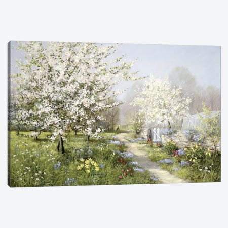 Spring Blossoms Canvas Print #MTZ44} by Peter Motz Canvas Print