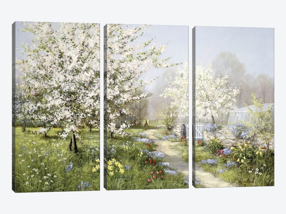 Spring Blossoms by Peter Motz 3-piece Canvas Art