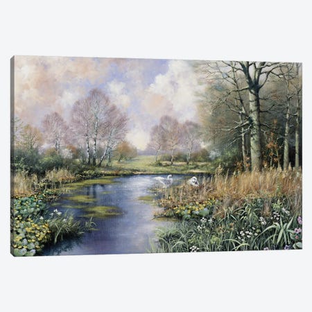 Spring Has Started Canvas Print #MTZ45} by Peter Motz Canvas Print