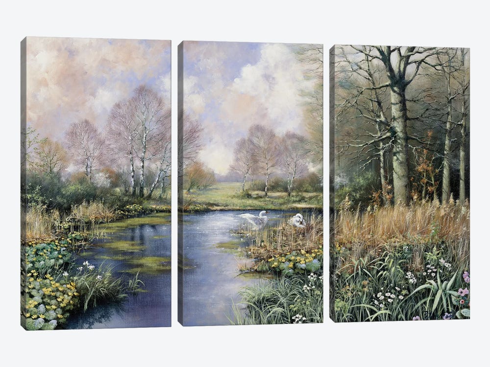 Spring Has Started by Peter Motz 3-piece Art Print