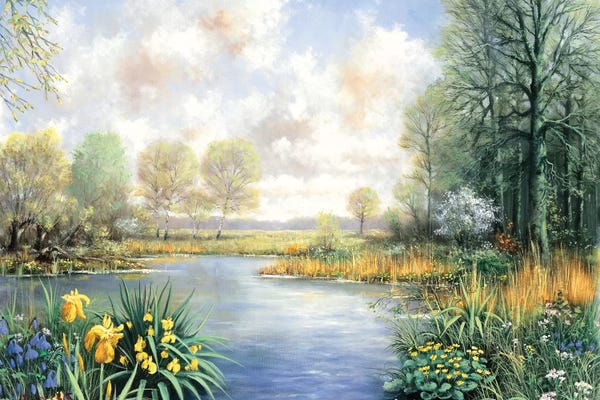 Rivers, Creeks & Streams: Spring Time by Peter Motz