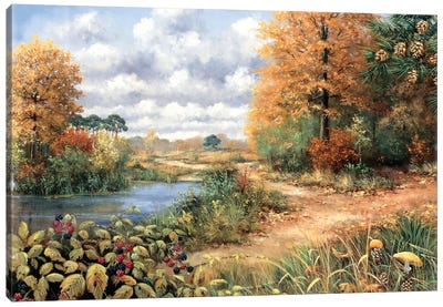Autumn Time Canvas Art Print - Peter Motz