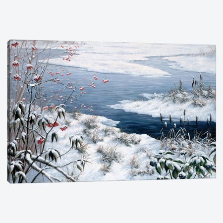 Winter Canvas Print #MTZ60} by Peter Motz Canvas Wall Art