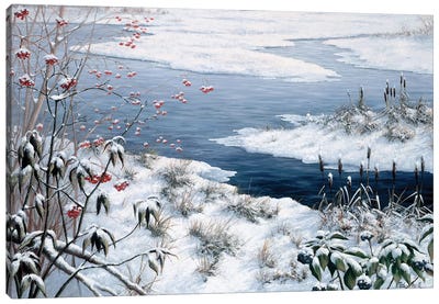 Winter Canvas Art Print - Peter Motz