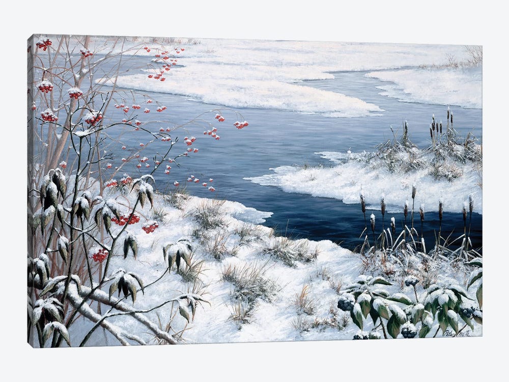 Winter by Peter Motz 1-piece Canvas Wall Art