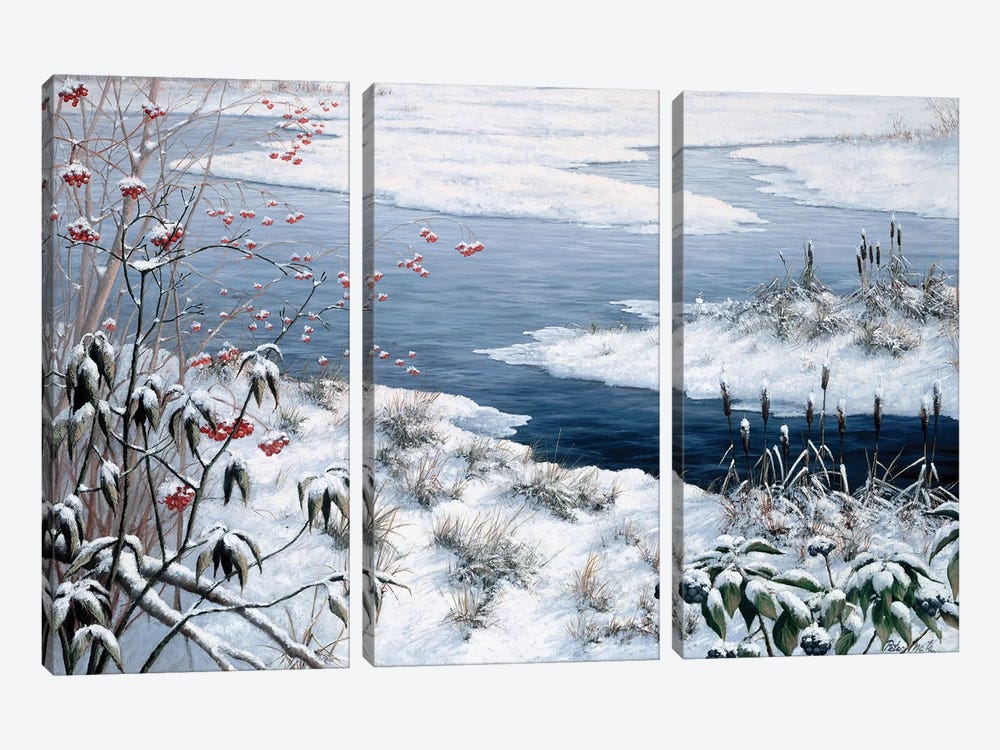 Winter by Peter Motz 3-piece Canvas Artwork