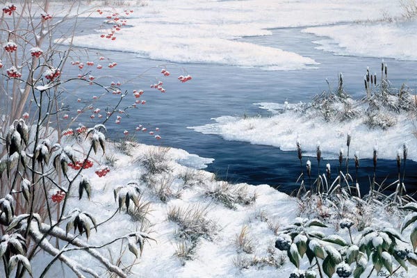 Peter Motz: Winter by Peter Motz