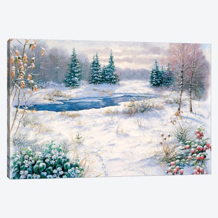 Winter Time Canvas Print #MTZ61} by Peter Motz Canvas Wall Art