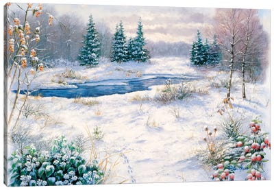 Winter Time Canvas Art Print - River, Creek & Stream Art
