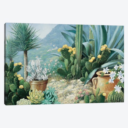 Cactus Canvas Print #MTZ8} by Peter Motz Art Print