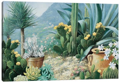 Cactus Canvas Art Print - Peter Motz