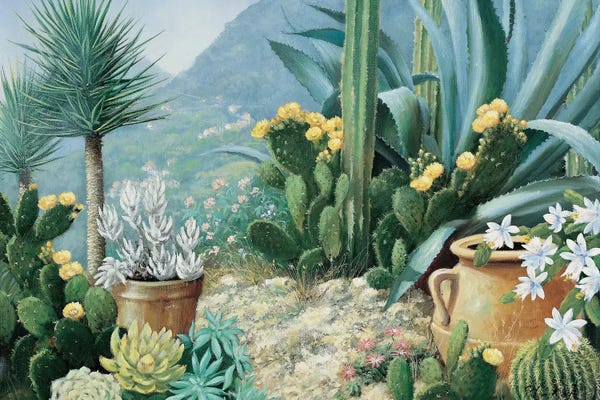 Tranquil Gardens: Cactus by Peter Motz