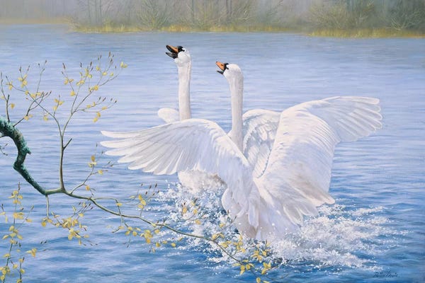 Peter Motz: Catch Me by Peter Motz