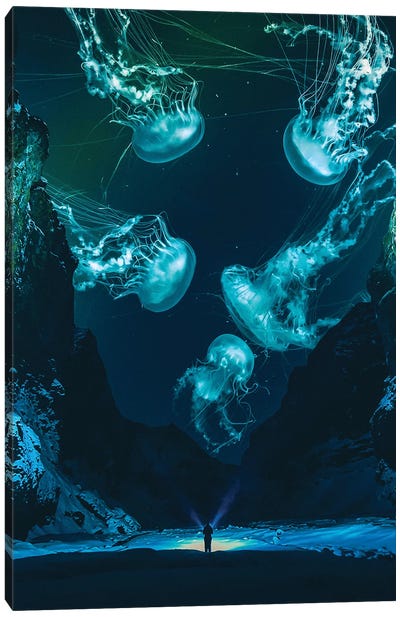 Dream Canvas Art Print - Jellyfish Art