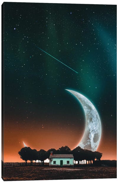 Moon Night Canvas Art Print - Karabanka