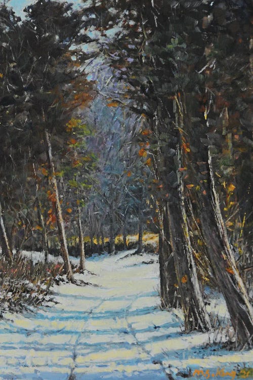 Snowpath In Winter by Mansung Kang wall art