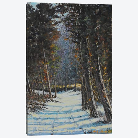 Snowpath In Winter Canvas Print #MUK10} by Mansung Kang Art Print