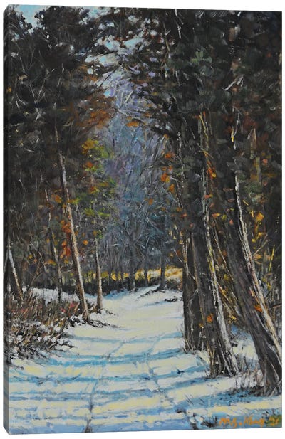 Snowpath In Winter Canvas Art Print - Weather Art