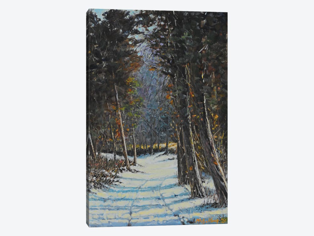 Snowpath In Winter by Mansung Kang 1-piece Canvas Art Print