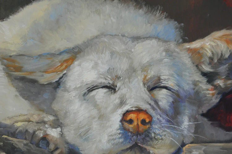Dreaming by Mansung Kang wall art