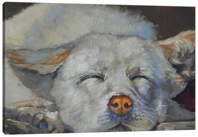 Dreaming Canvas Art Print - Sleeping & Napping Art
