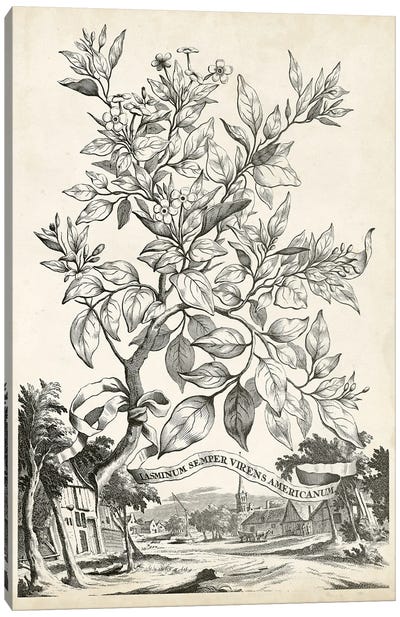 Scenic Botanical II Canvas Art Print