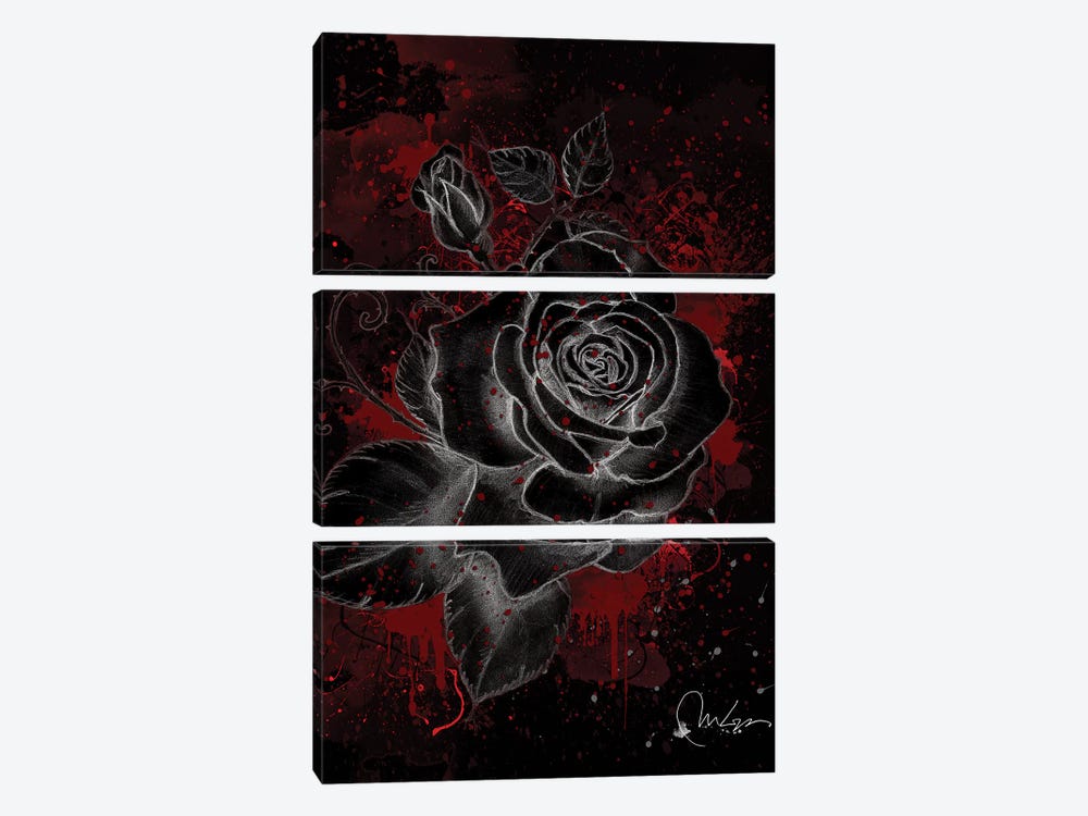 Black Rose by Marine Loup 3-piece Canvas Art